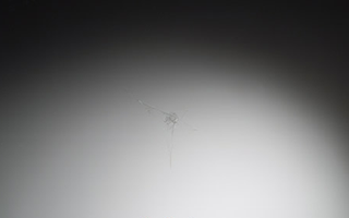 星形状破损点修复前后
